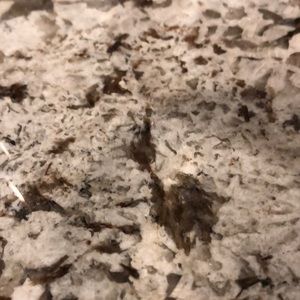 Meet your Posher, Lydia